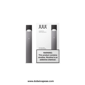 Juul Basic Kit